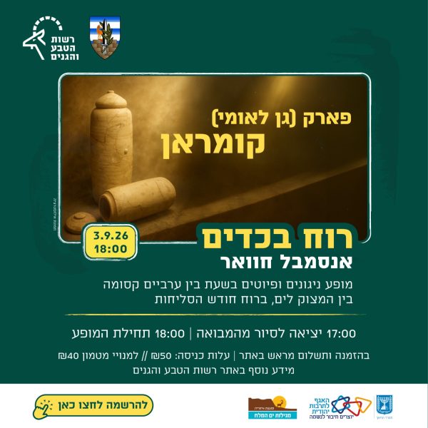 רטג(2)