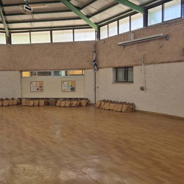 פיתוח(11)