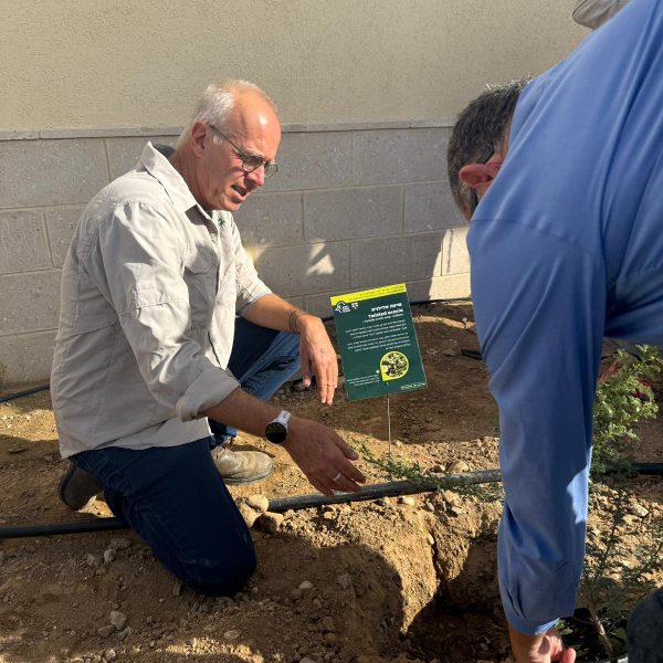 אתר הטבילה(9)