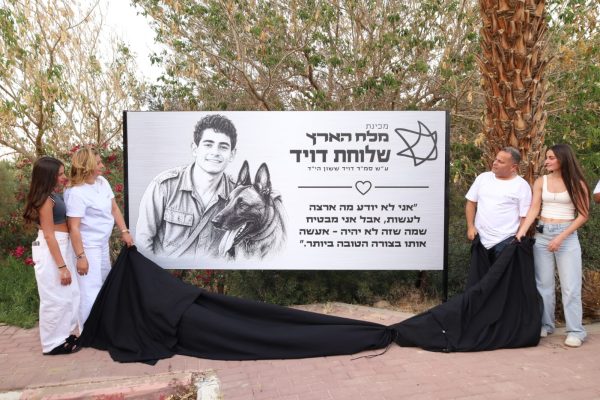 מלח הארץ(11)
