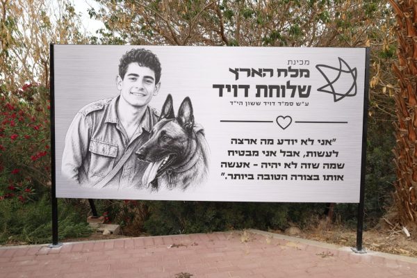 מלח הארץ(12)